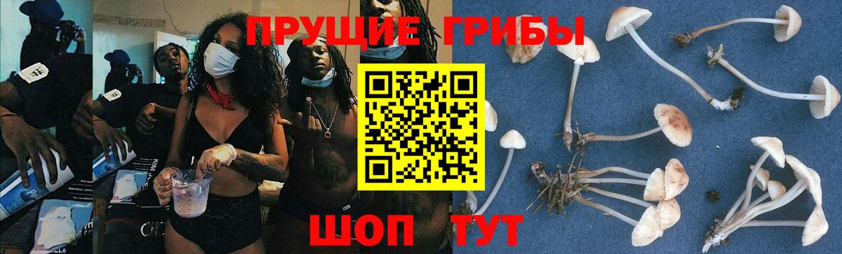 Галлюциногенные грибы GOLDEN TEACHER Дюртюли